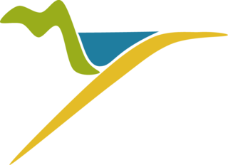 Logo DISS